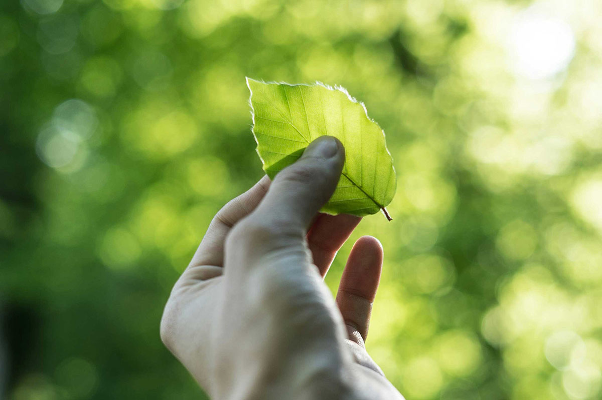 Sustainability-Banner